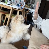 タッチ