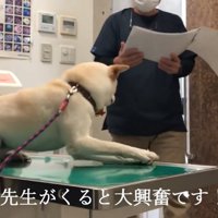 先生の登場に大喜び！