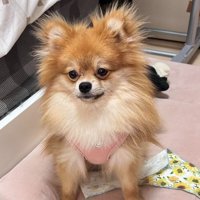 頭が爆発してしまう♪