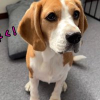 出勤前のママさんとメイちゃん5