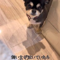 涙を流していたら…