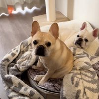 フリーズして、葛藤中…
