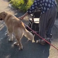 ゆず君とおばあちゃん8