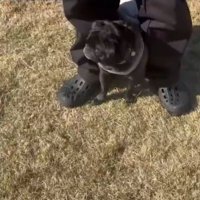 キョロキョロ
