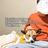 家族に寄りかかって眠る犬
