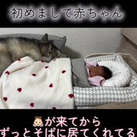 ただただ寄り添う…