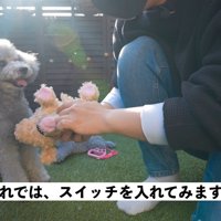スイッチを入れたら…