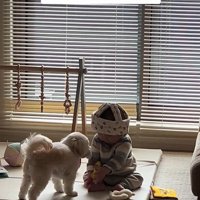 おもちゃで遊ぶワンコと赤ちゃん5