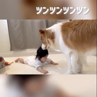 仲良くなれた！？