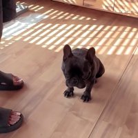 うなだれるドムくん