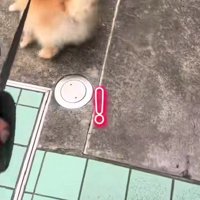 「ここ動物病院じゃん！！」