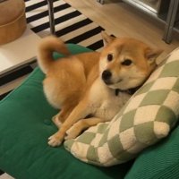 「立たないけどね…」