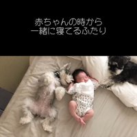 一緒に寝るトトちゃんと女の子