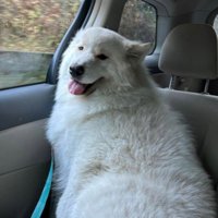 人を惹き付ける力がある？