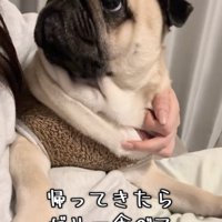 膨らむ期待！！