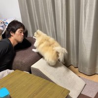 ボールを取ってもらいたいクララちゃん7