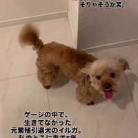 はじける笑顔が素敵