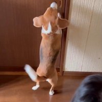 ついにおじいちゃんの部屋を出禁に！