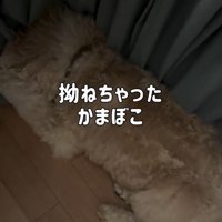 拗ねたかまぼこちゃん