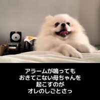 木ノ葉丸くんとの出会い7