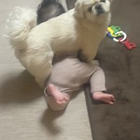 寝返り