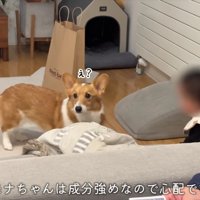 舐めるのを注意されると…