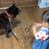 女の子とお散歩に出発