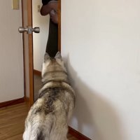 初対面の瞬間…