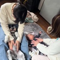 赤ちゃんとベビーマッサージ