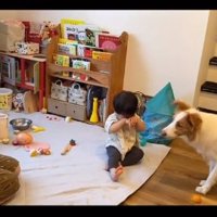 可愛い息子さん