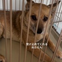 おふとん君と男の子8
