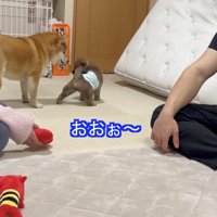 ひまりちゃん、初めて怒った！