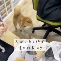 郵便物をチラリ