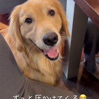 サンちゃんの熱烈歓迎⑩