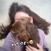 背中を撫でてもらう犬2