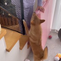 らむねちゃんとお姉ちゃんの再会9