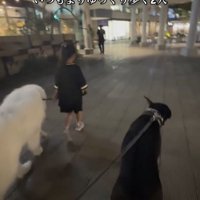 いつもよりゆっくりと