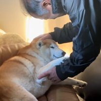嬉しそうなるるちゃん