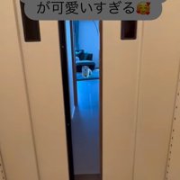 忠太くんの熱烈歓迎2
