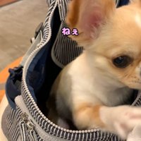 「ねえ、帰ろうよ！」
