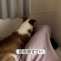 やる気に満ちているイギーくん