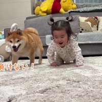 うっかり不正するうにくん
