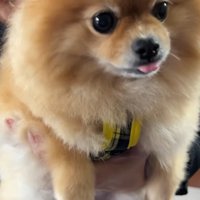 遅れて着いたパパさんをお出迎え