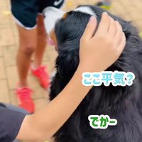 「ここ平気？」