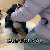 たま君と女の子の成長5