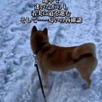 あたりを見渡す朔くん