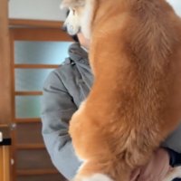 おはるちゃんをあやすパパ