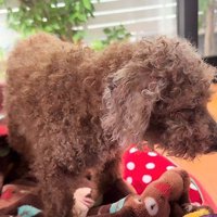 「心配しないでね」
