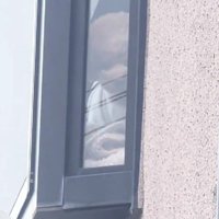 窓からこっそり覗く♪