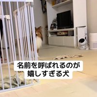 名前を呼ばれた時のリックくん